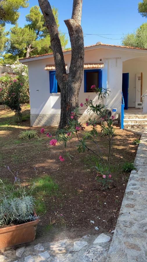 Appartamenti La Villa ペスキチ エクステリア 写真